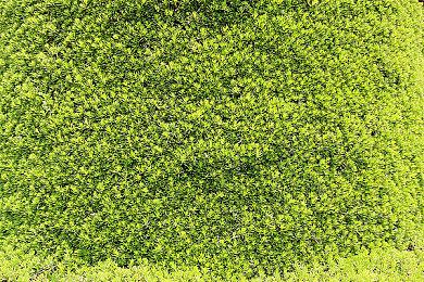 CI总裁：《堕落之主》玩家玩得越久 好评率就越高